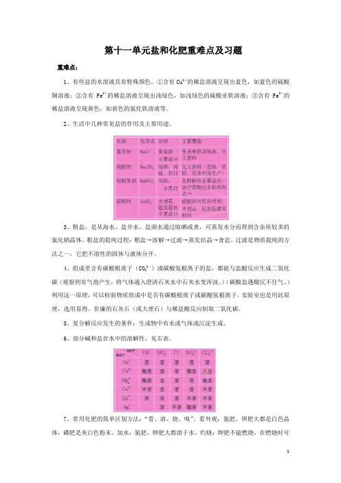 第十一单元：盐、化肥单元检测试卷及答案