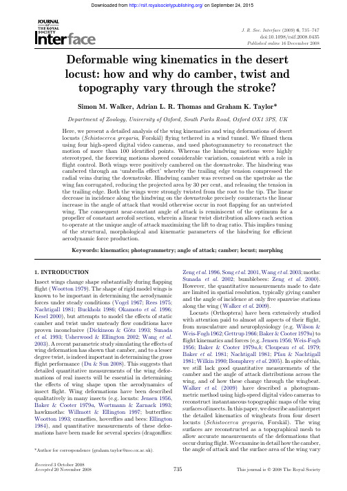 Deformable wing kinematics in the desert
