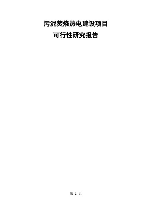 污泥焚烧热电建设项目可行研究报告共206页文档