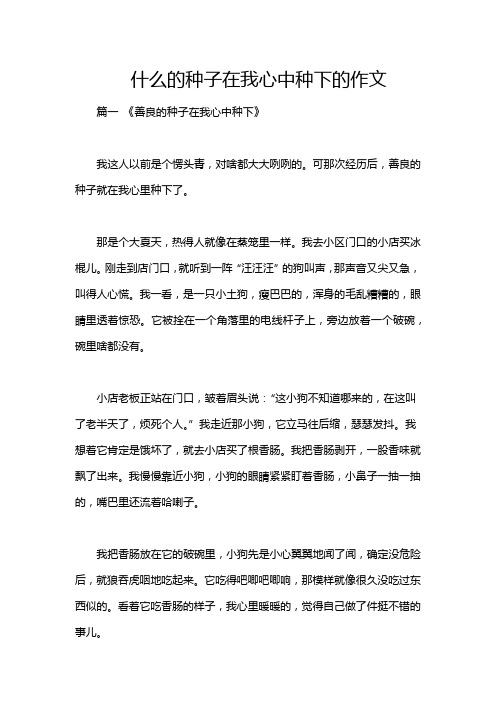 什么的种子在我心中种下的作文