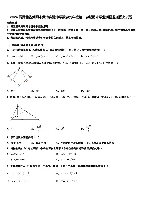 2024届湖北省黄冈市黄梅实验中学数学九年级第一学期期末学业质量监测模拟试题含解析