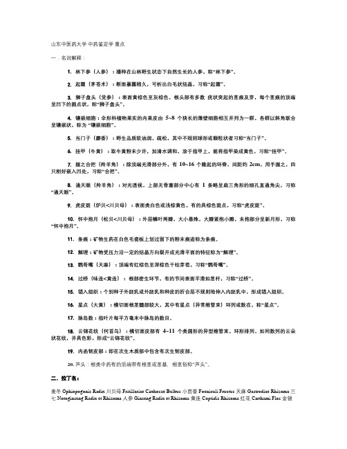 山东中医药大学  中药鉴定学 重点.