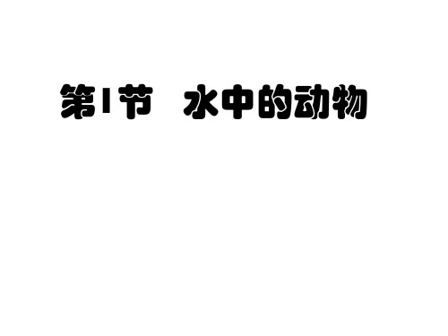 苏科版七年级下册生物 10.1水中的动物 课件   (共25张PPT)