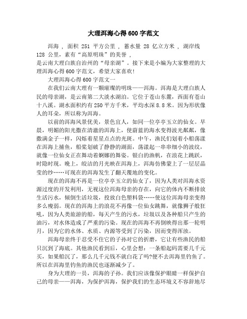 大理洱海心得600字范文