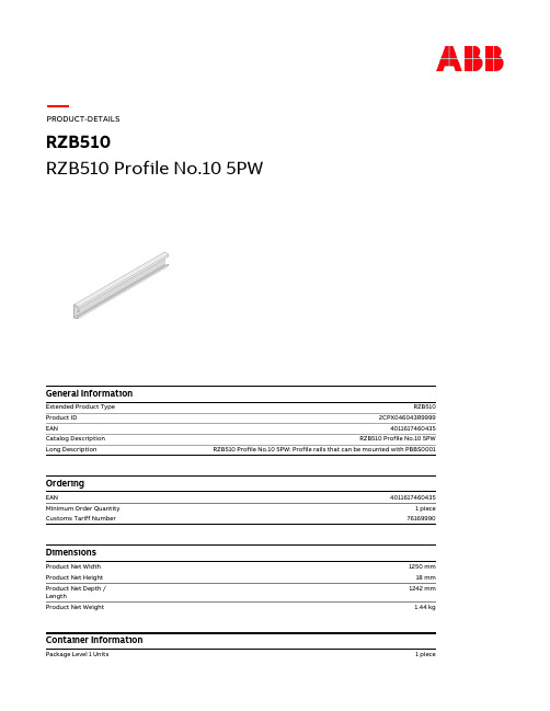 RZB510 产品说明书