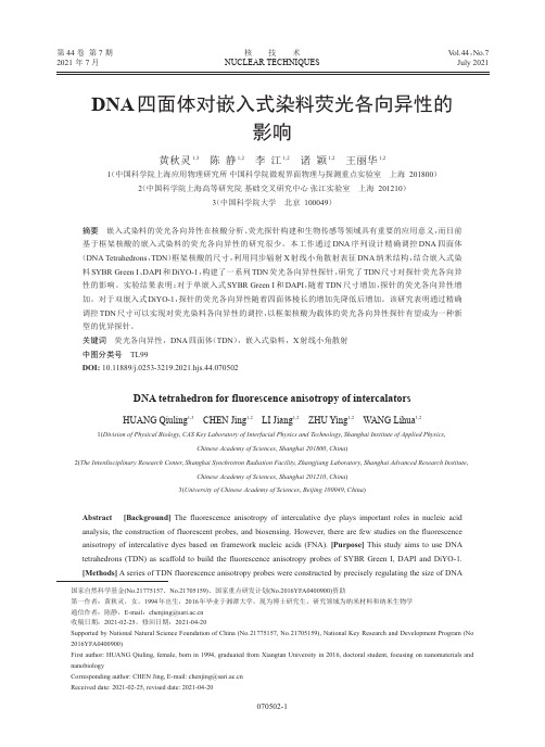 DNA四面体对嵌入式染料荧光各向异性的影响