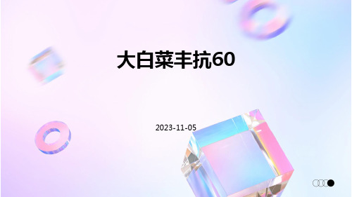 大白菜丰抗60