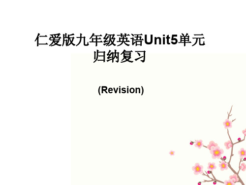 仁爱版九年级英语Unit5单元复习课示范课课件