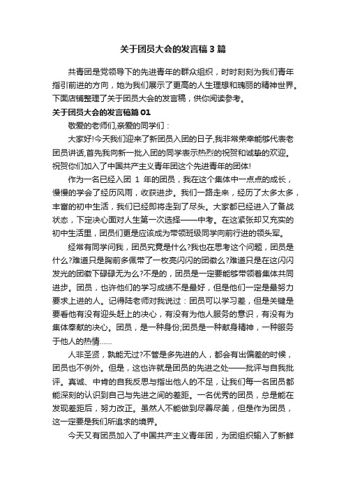 关于团员大会的发言稿3篇