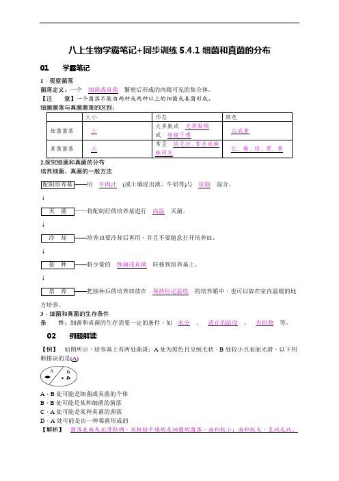 八上生物学霸笔记+同步训练5.4.1细菌和真菌的分布答案版