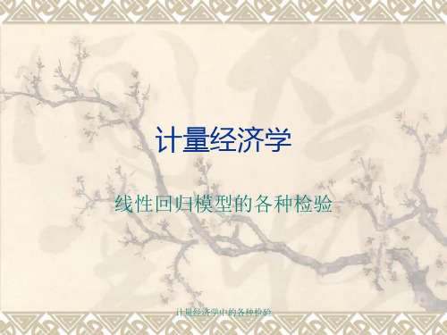 计量经济学中的各种检验【实用参考】