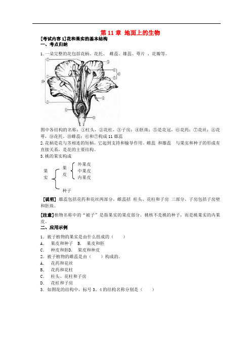 中考生物一轮复习 七下 第11章 地面上的生物(含解析) 