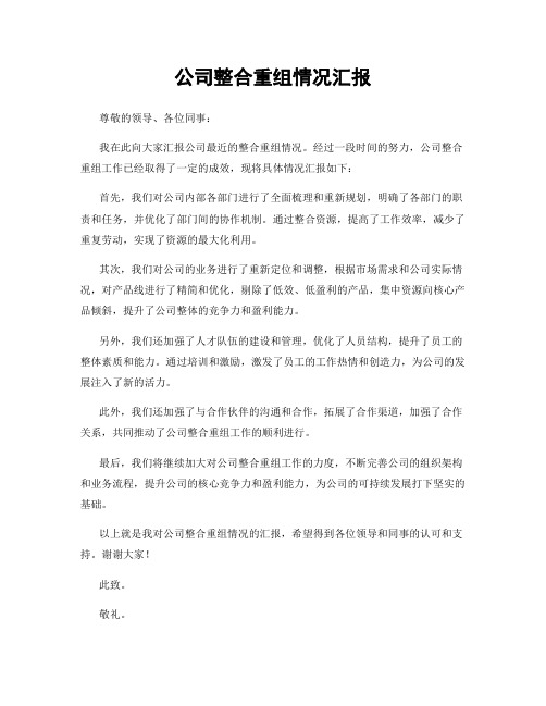 公司整合重组情况汇报