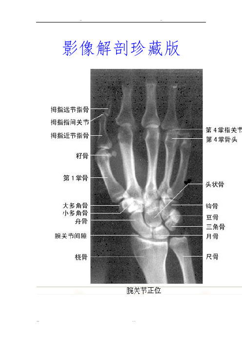 影像解剖影像图谱珍藏版