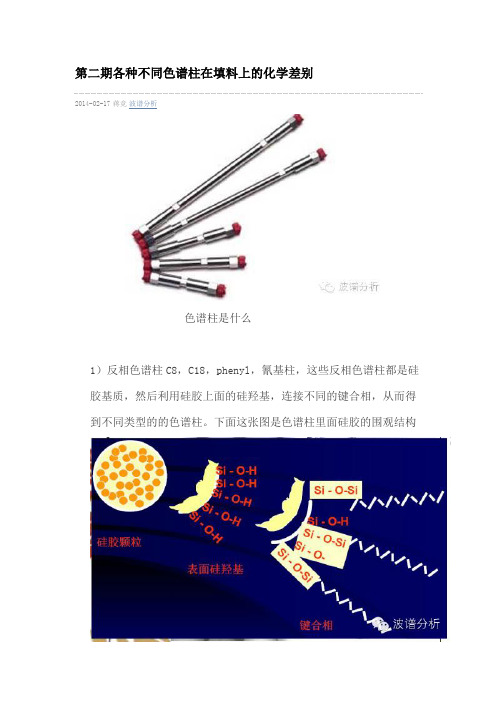 第二期各种不同色谱柱在填料上的化学差别