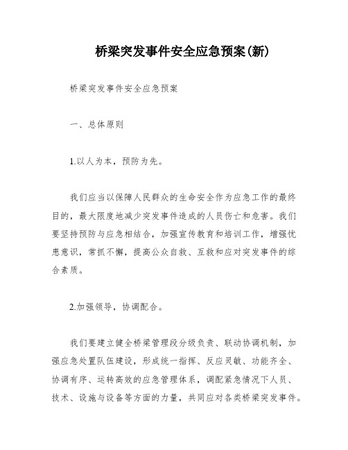 桥梁突发事件安全应急预案(新)