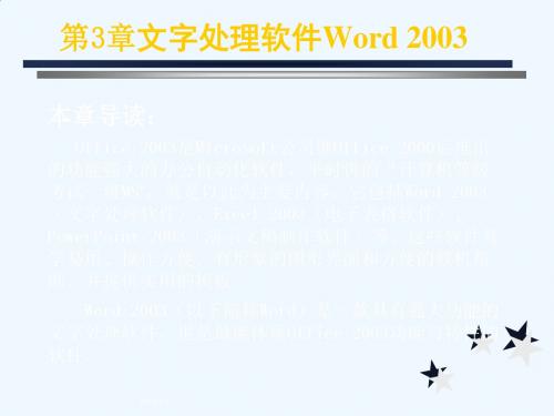 第3章 文字处理软件Word 2003