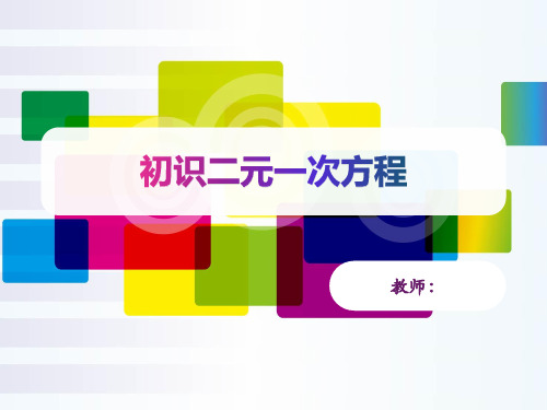 全国优质课说课一等奖初中数学《初识二元一次方程》课件