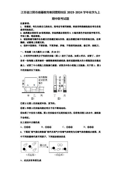 江苏省江阴市南菁教育集团暨阳校区2023-2024学年化学九上期中联考试题含解析