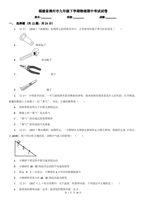 福建省漳州市九年级下学期物理期中考试试卷