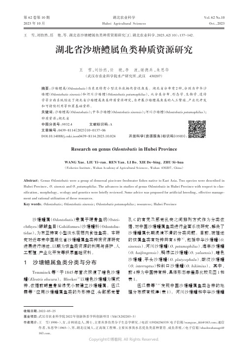 湖北省沙塘鳢属鱼类种质资源研究