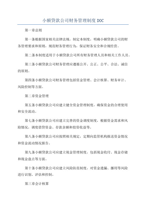 小额贷款公司财务管理制度DOC