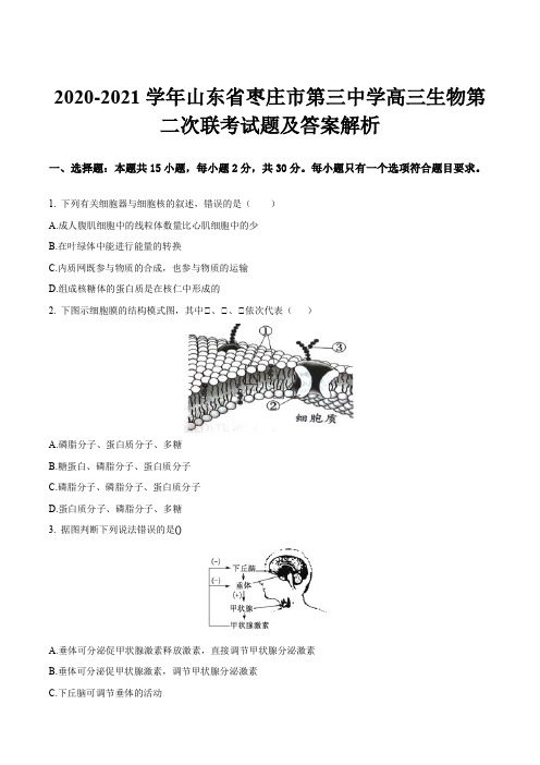 2020-2021学年山东省枣庄市第三中学高三生物第二次联考试题及答案解析