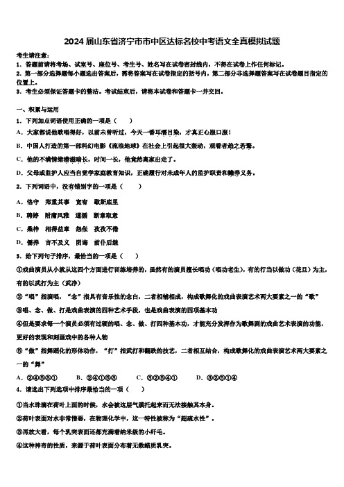 2024届山东省济宁市市中区达标名校中考语文全真模拟试题含解析