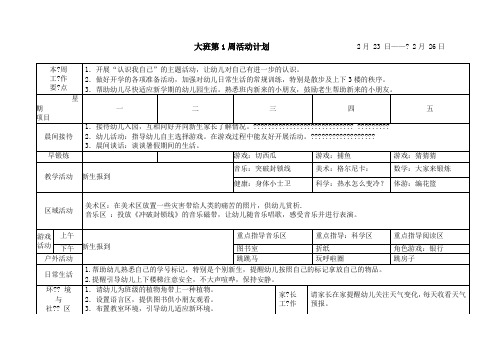 幼儿园大班周计划表