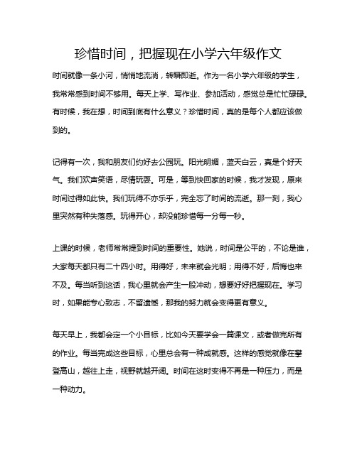 珍惜时间,把握现在小学六年级作文