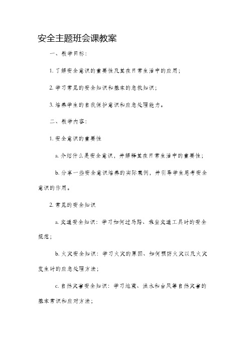 安全主题班会课市公开课获奖教案省名师优质课赛课一等奖教案