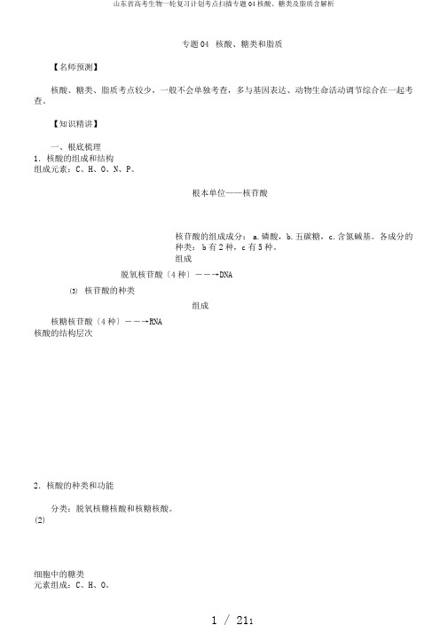 山东省高考生物一轮复习计划考点扫描专题04核酸、糖类及脂质含解析