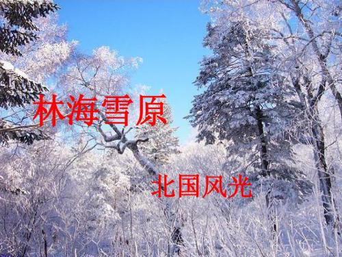 山东人民出版社 品德与社会五年级下册 林海雪原