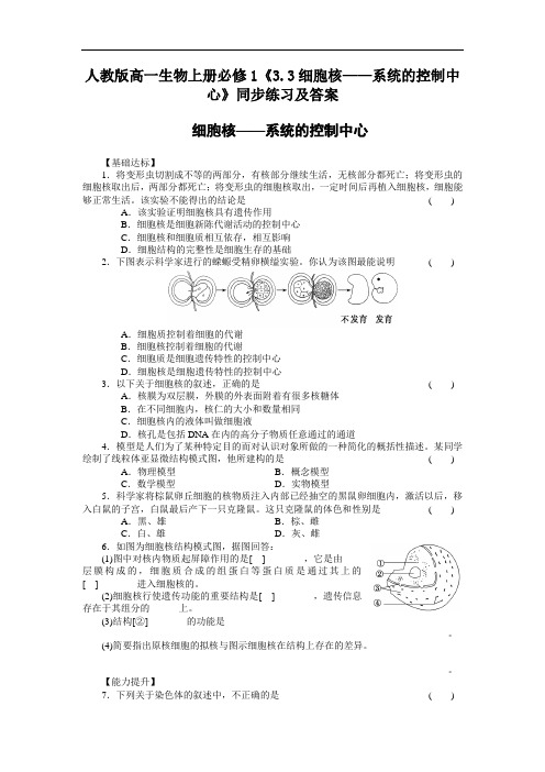 2020人教版高一生物上册必修1《3.3细胞核——系统的控制中心》【含答案】