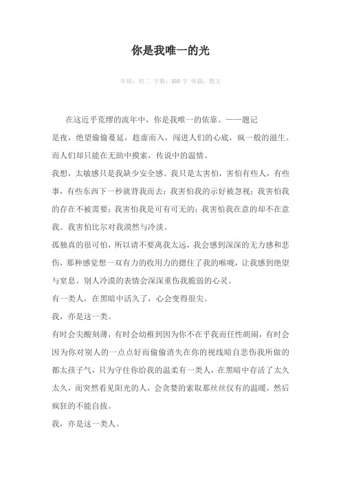 你是我唯一的光500字作文