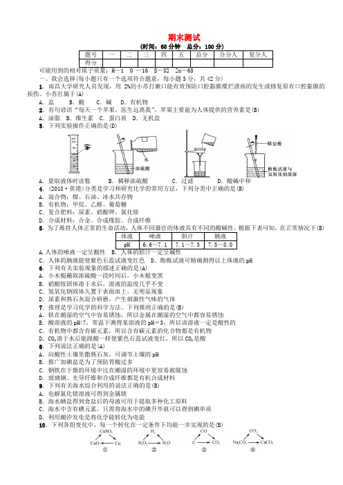 2018年九年级化学下册期末测试新版鲁教版