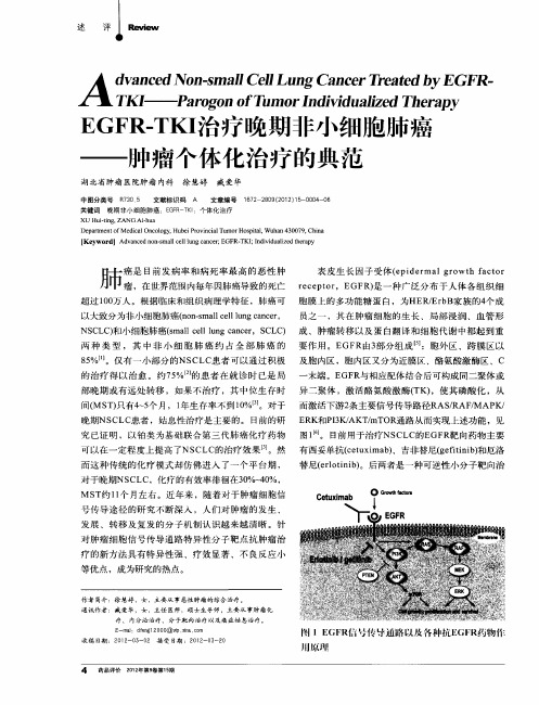 EGFR—TKI治疗晚期非小细胞肺癌——肿瘤个体化治疗的典范