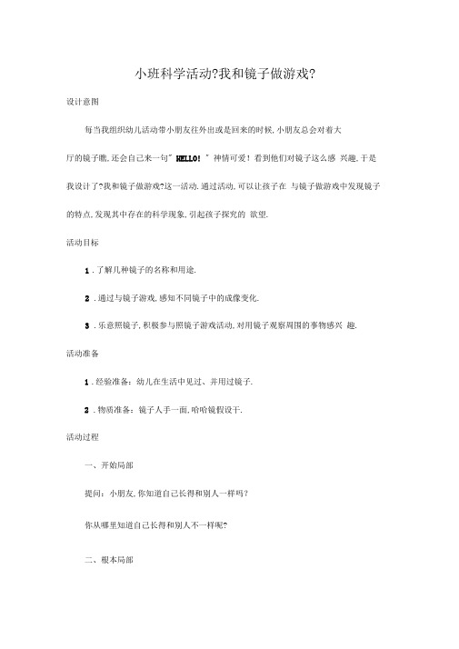 小班科学活动我和镜子做游戏