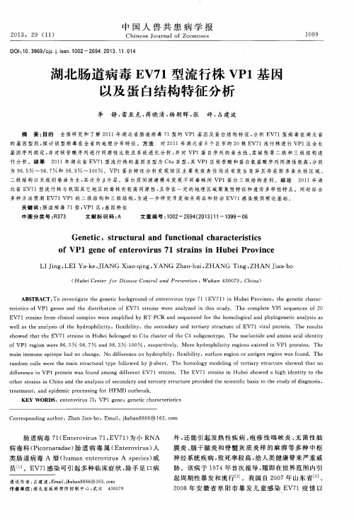 湖北肠道病毒EV71型流行株VP1基因以及蛋白结构特征分析