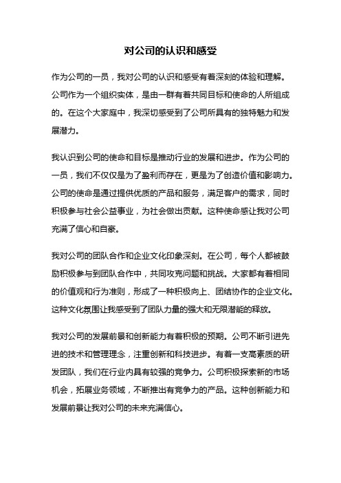 对公司的认识和感受