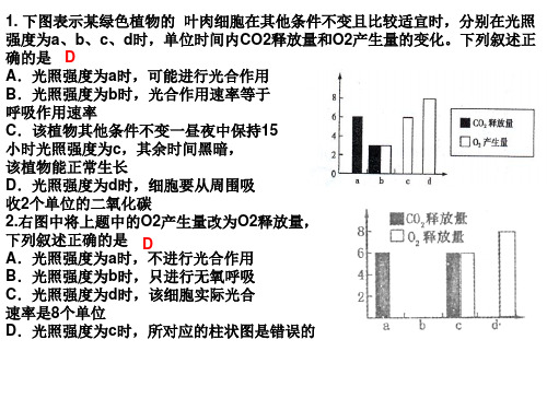 光合作用氧气产生量与释放量习题