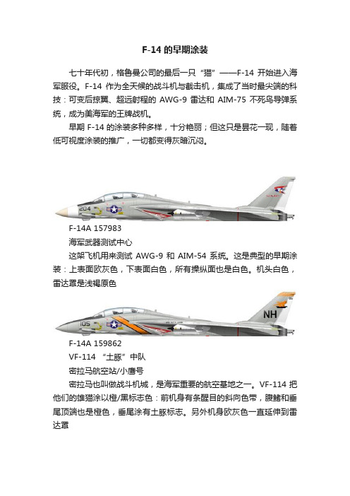 F-14的早期涂装