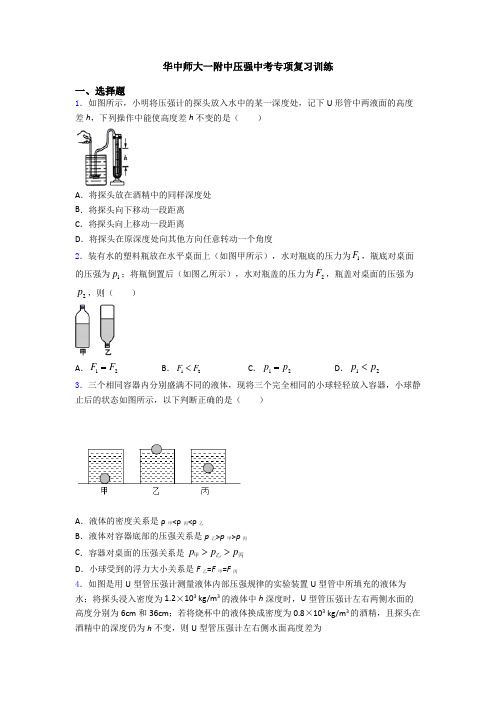 华中师大一附中压强中考专项复习训练