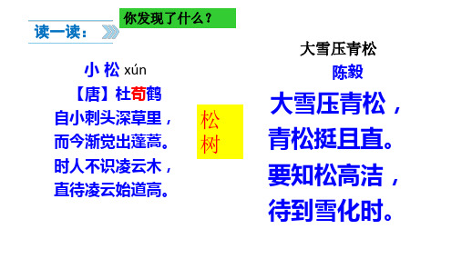 《题长松图》公开课