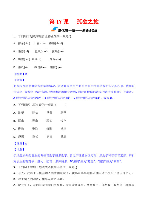 2022-2023学年九年级语文上学期课后练第17课  孤独之旅(解析版)