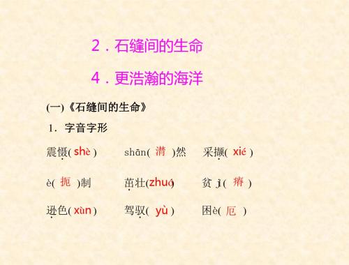 初中语文语文版新课标九年级下册课件:第一单元 2.石