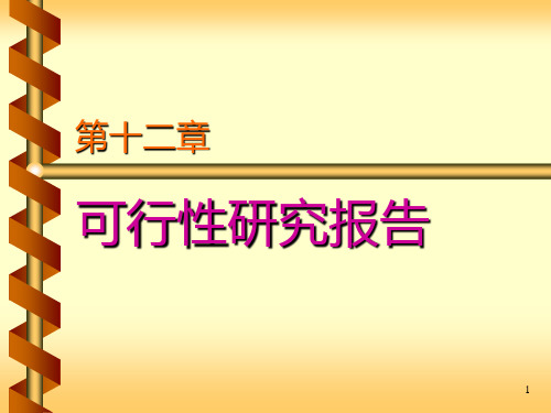 投资项目的可行性报告 PPT课件