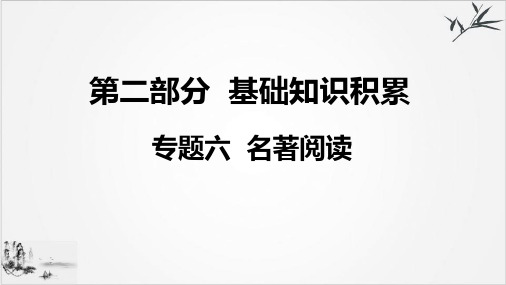四、《钢铁是怎样炼成的》课件课件中考语文系统复习