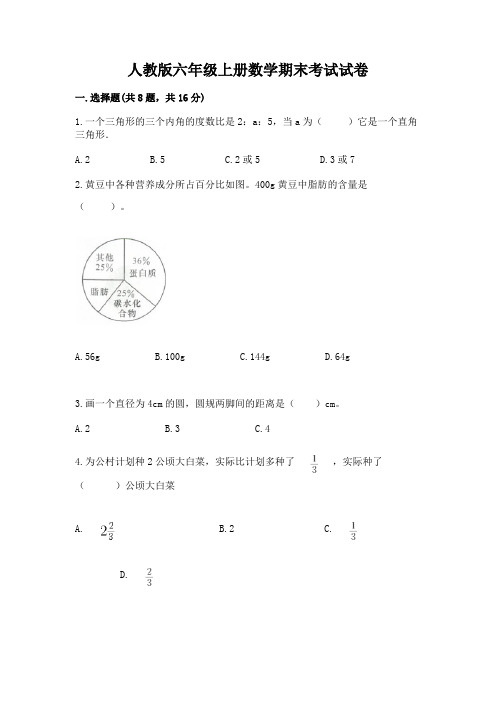 人教版六年级上册数学期末考试试卷带答案解析