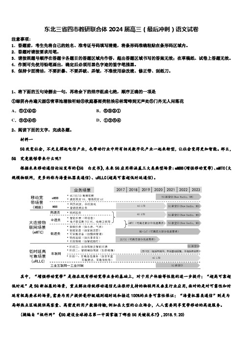 东北三省四市教研联合体2024届高三(最后冲刺)语文试卷含解析